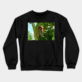 Banana Tree Flower Crewneck Sweatshirt